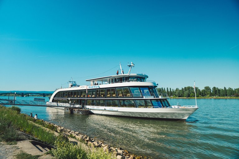 Bild zu Sommernachtsball auf dem Rhein 